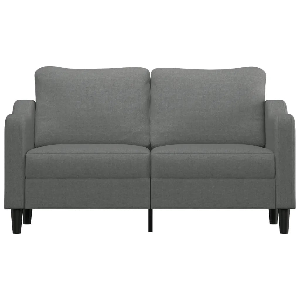 Divano | Divano da soggiorno | Sofa a 2 Posti Grigio Scuro 140 cm in Tessuto