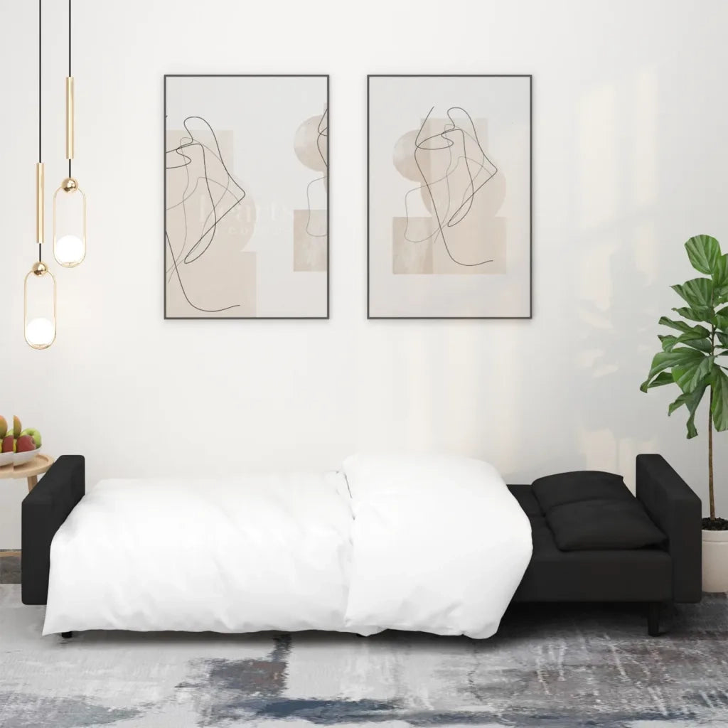 Divano Letto a 2 Posti con 2 Cuscini Nero in Vellutocod mxl 114414
