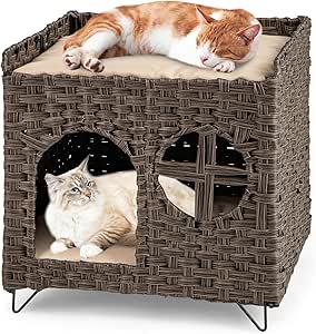 Casetta per Gatti in Rattan 50,5 x 45 x 50 cm, Cuccia a 2 Piani per Gatti con 2 Cuscini, Letto per Animali Domestici per Camera da Letto e Soggiorno