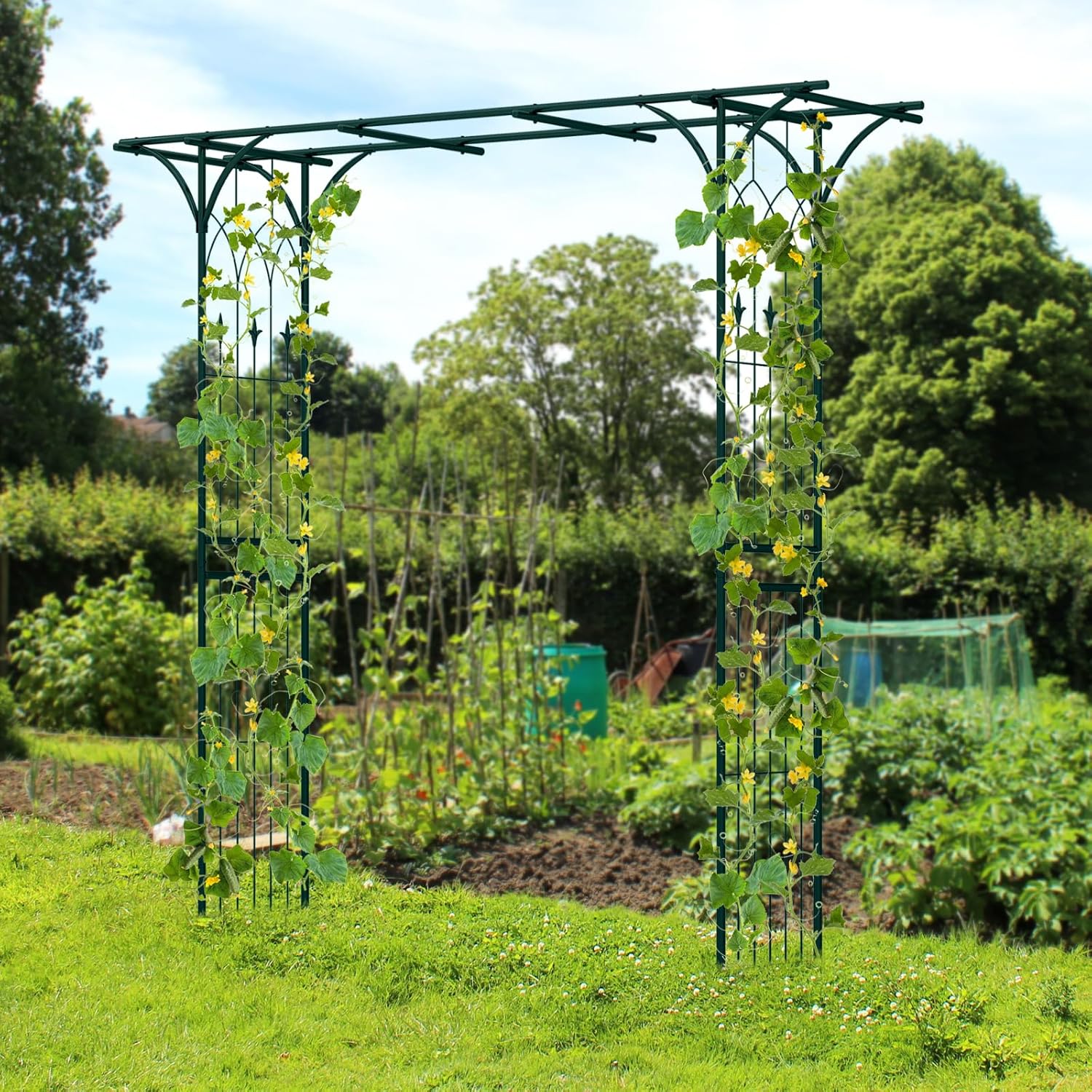 Arco da Giardino 205 CM, Pergolato per Piante Rampicanti, Pergola Decorativo di Metallo per Cerimonie, Feste, Cortile e Prato (Verde)