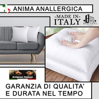 Set 4 Imbottiture Cuscini Divano 45 cm, Anima Anallergica, Cuscino Morbido per Arredo, Cuscino Interno Made in Italy (4 Imbottiture, 45x45 Cm)
