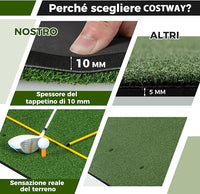 Tappeto da Allenamento Golf 3-in-1, Tappetino da Allenamento in Erba Sintetica con 2 Punte da Golf, 2 Aste di Allineamento e 3 Fori Preforati per le Punte