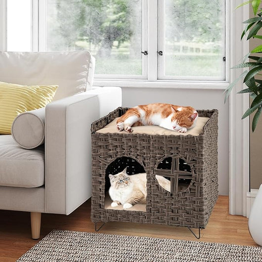 Casetta per Gatti in Rattan 50,5 x 45 x 50 cm, Cuccia a 2 Piani per Gatti con 2 Cuscini, Letto per Animali Domestici per Camera da Letto e Soggiorno