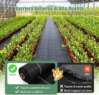 Telo Pacciamatura 50 x 1m/25 x 2m, Tessuto per Barriera Antierbacce in PP con Linea Guida Chiara e Diritta, Telo Antierbacce per Orto, Giardino, Paesaggistica e Vialetto (25 x 2 m - 60 g/m²)