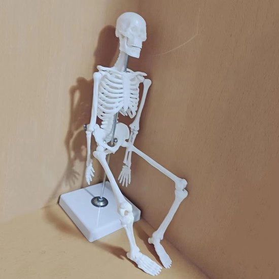 Scheletto Umano Miniaturo Anatomico - Modello Educativo e Decorativo (45 cm, scala 1:4)
