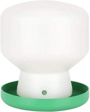 Dispensatore automatico per uccelli acqua - becco largo per pappagalli e colombi.