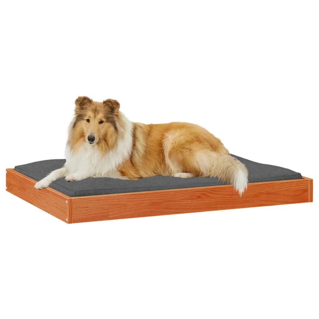 Letto per Cani Marrone cerato 101,5 x 74 x 9 cm CFW5500425