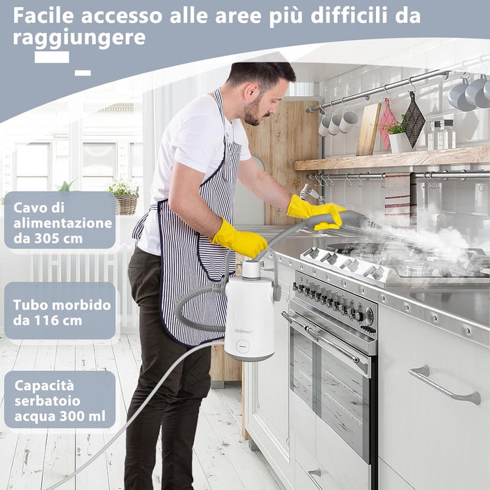 1000W Pulitore a Vapore Multiuso, Macchina a Vapore Portatile con 10 Accessori Serbatoio da 300 ml, Pulizia a Vapore con Tubo Flessibile per Cucina Bagno Finestre (Grigio)