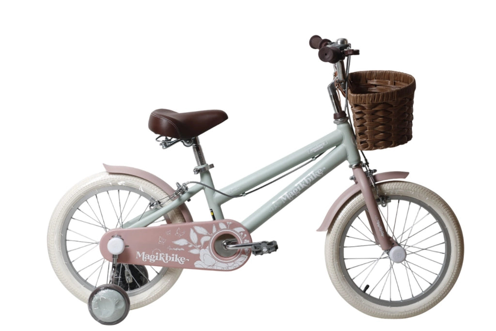 Bicicletta per Bambine Antonella 16 Pollici con Stabilizzatori e Cestino Verde e Rosa Verde e Rosa