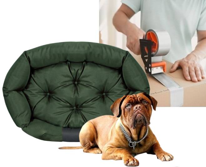 AIO FACTORY Cuccia per cani 75x50 cm personalizzabile impermeabile verde