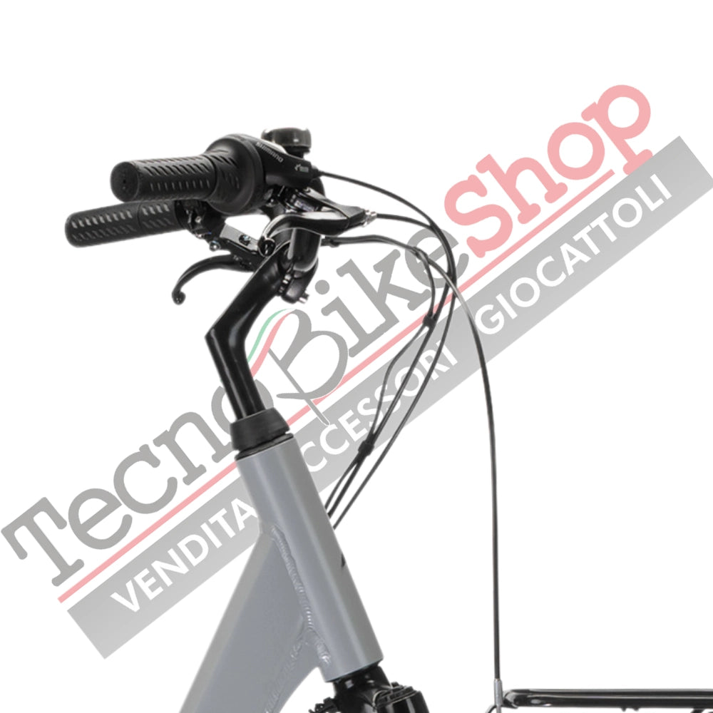 Bicicletta Elettrica A Pedalata Assistita MBM Rhea 28"-Grigio