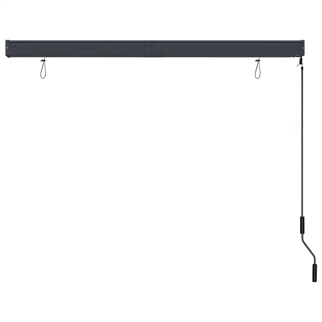 Tenda a Rullo per Esterni-Tenda da sole avvolgibile 160x250 cm Antracite