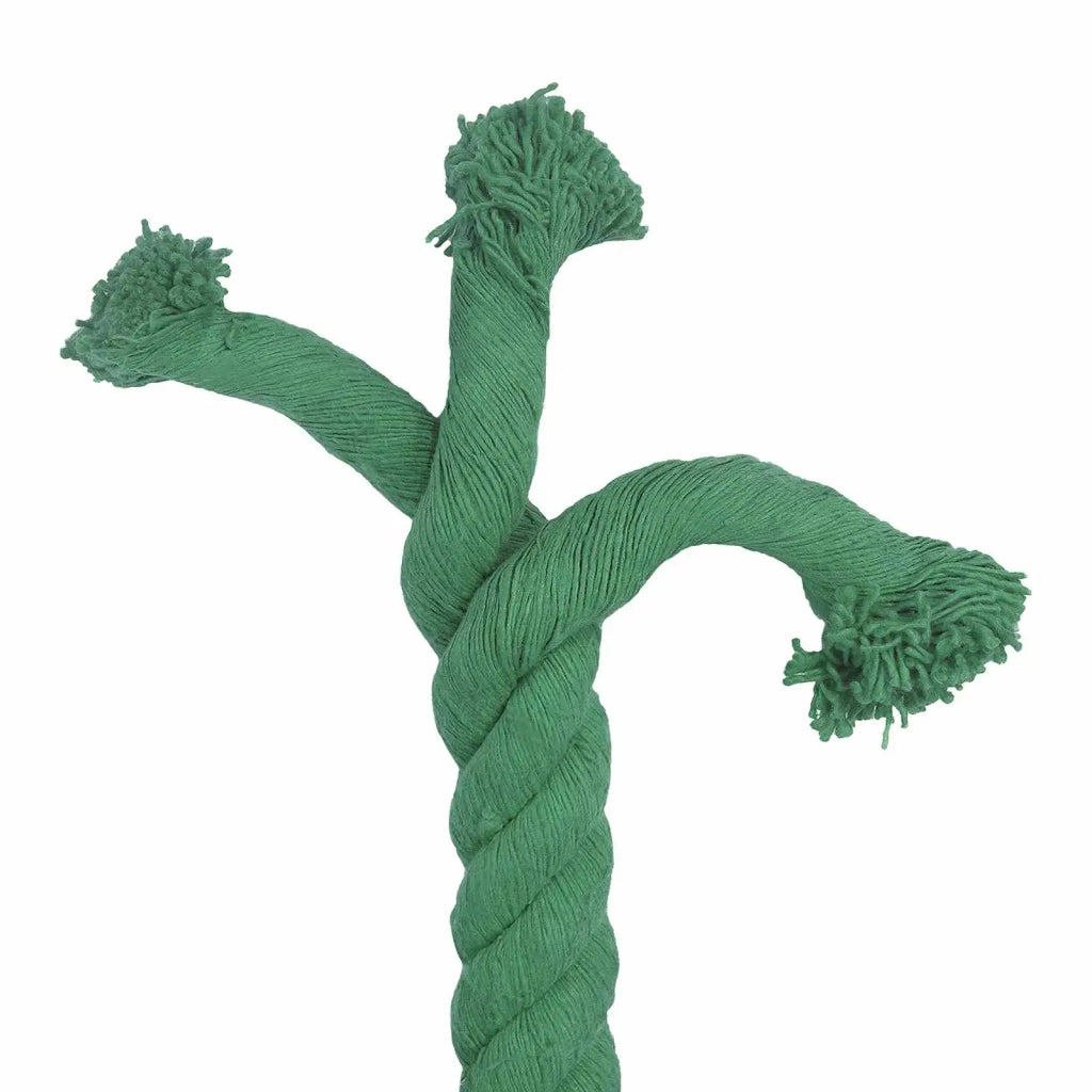 Corda Verde 5 x 5 x 1000 cm Cotone 42011986