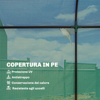 Serra da Giardino 170x68x200 cm Porta Avvolgibile e Finestre a Rete con Rivestimento in PE Verde