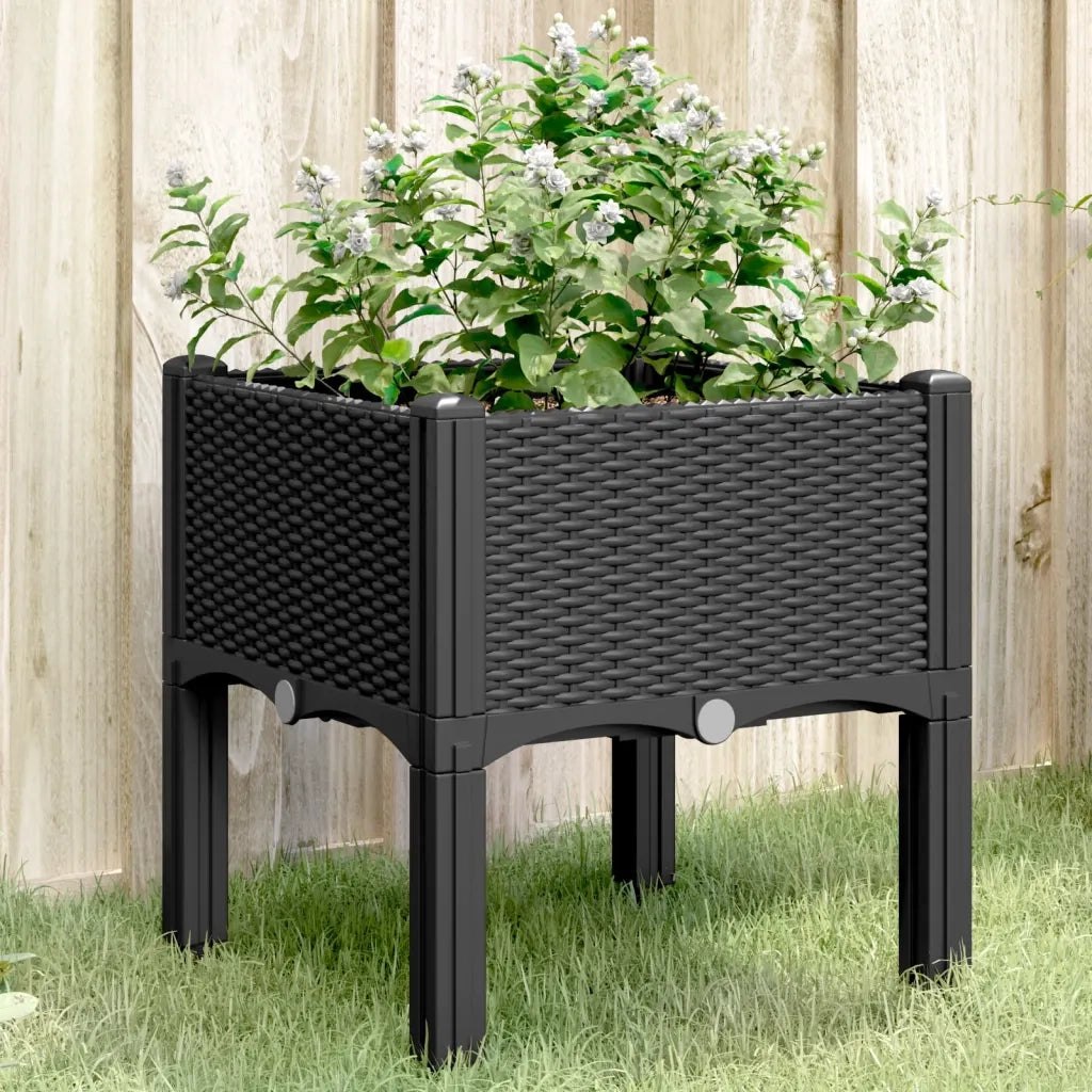 Fioriera | Cassetta per fiori | Vaso da Giardino con Gambe Nera 40x40x42 cm in PP