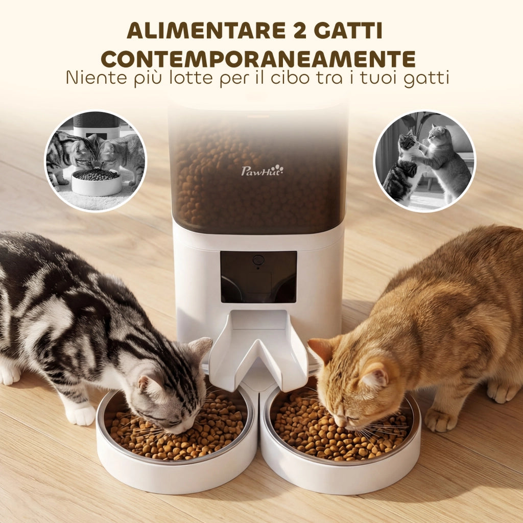 Distributore Cibo Gatti 6L WiFi ¨C zephmum ¨C 2 Ciotole Acciaio Inox