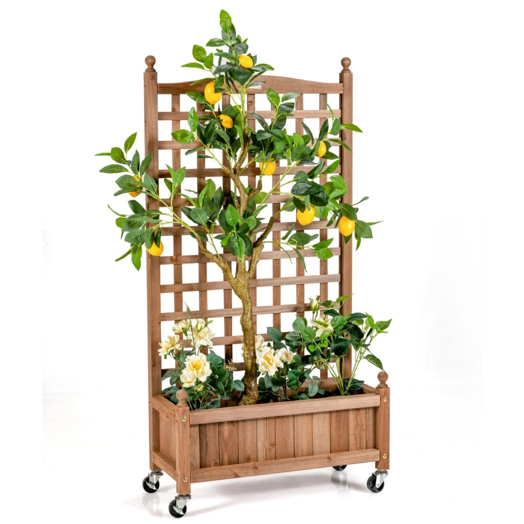 Fioriera in legno massiccio con alto traliccio per verdure, Portapiante per giardino con ruote bloccabili Naturale-Fioriere