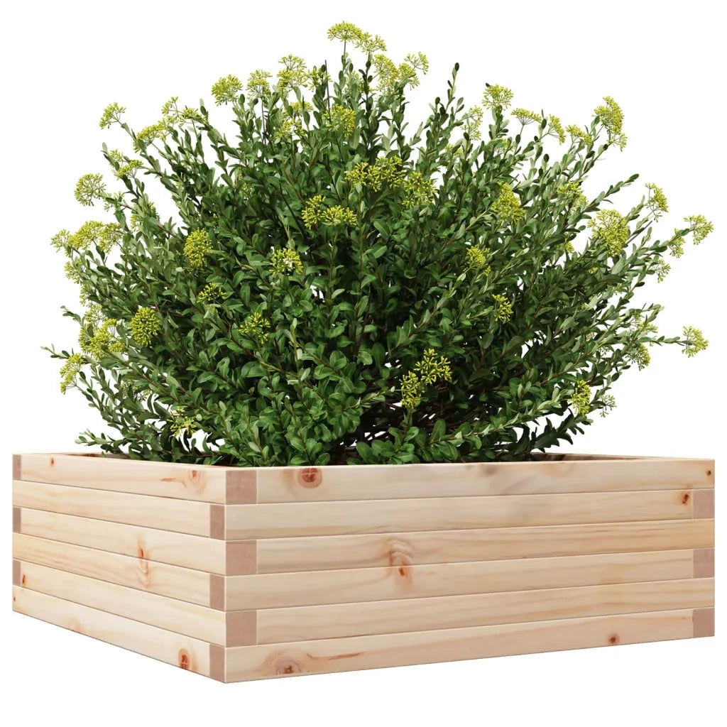 Fioriera da Giardino 70x70x23 cm in Legno Massello di Pino 847193