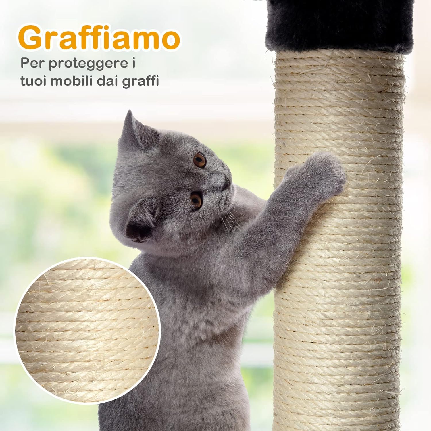 Tiragraffi per Gatti Adulti, Tiragraffi per Gatti con Cuccia, Piattaforma, Cuscini e Tiragraffi, Albero Tiragraffi per Gatti Grandi Alto in Legno, 60 x 50 x 170 cm