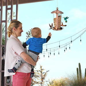 2 in 1 Mangiatoia per Uccelli con 2 Tubi, Mangiatoia per Uccelli da Appendere all'Aperto in Metallo Resistente alle Intemperie, Decorazione per Giardino e Portico