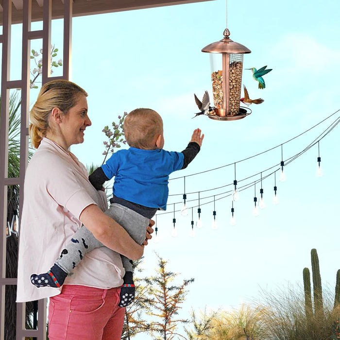 2 in 1 Mangiatoia per Uccelli con 2 Tubi, Mangiatoia per Uccelli da Appendere all'Aperto in Metallo Resistente alle Intemperie, Decorazione per Giardino e Portico