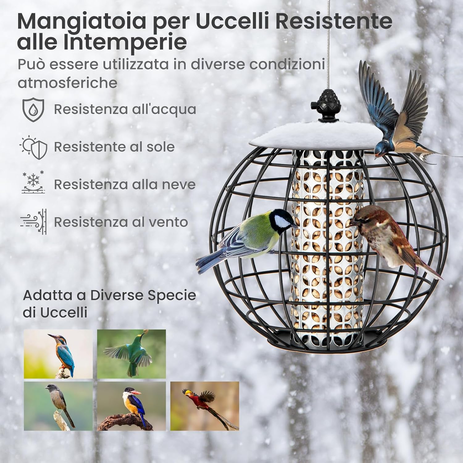 Mangiatoia per Uccellini da Esterno Antiscoiattolo, Mangiatoia per Uccelli Selvatici in Metallo Resistente, Ideale per Giardino, Balcone e Terrazza, Capacità 3 KG