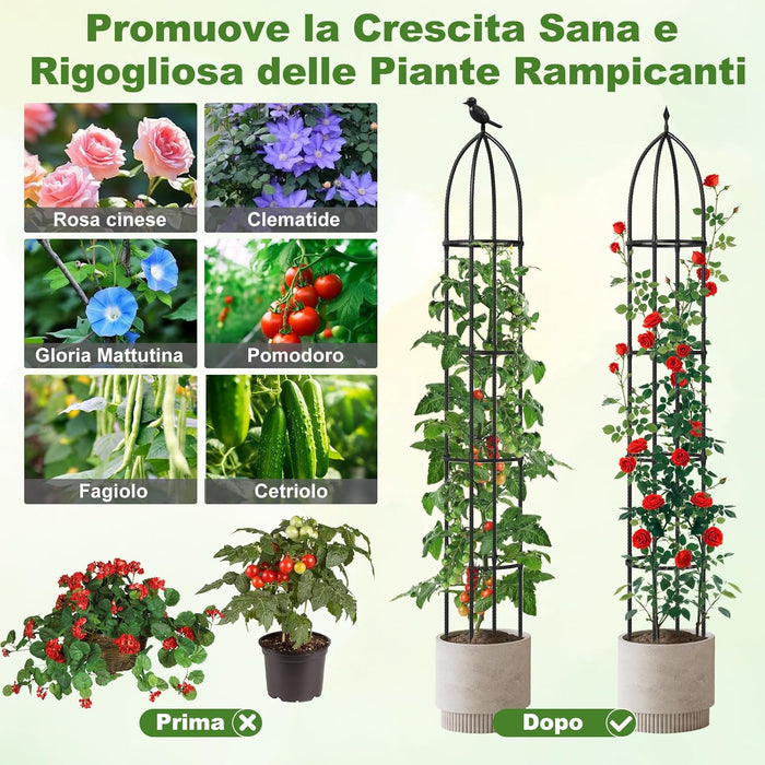 2 Trellis da Giardino per Piante Rampicanti 197 cm, 2 Tralicci in Metallo a Obelisco per Piante in Vaso, Supporto da Giardino per Verdure, Fiori, Pomodori, Rose e Clematidi