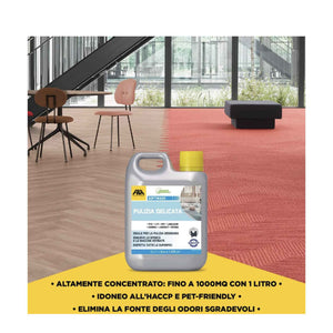 SOFTWASH FORMATO 1 LT