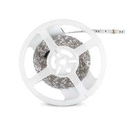 Bobina Striscia Led 300 SMD 5050 12V 10,8W/M Rosso IP20 5 Metri SKU-212128