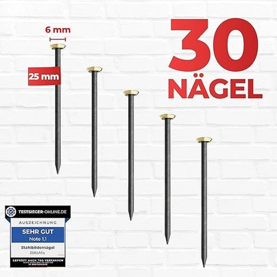 Set di chiodi per la parete, chiodi a testa piatta, chiodi per appendere foto, chiodi per la parete, set di chiodi hardware 30 pezzi