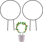 Set di 2 sostegni metallici per piante rampicanti - Stendardi per piante ornamentali da 33 cm - Supporto nero in vernice - Ideale per piante rampicanti in acciaio