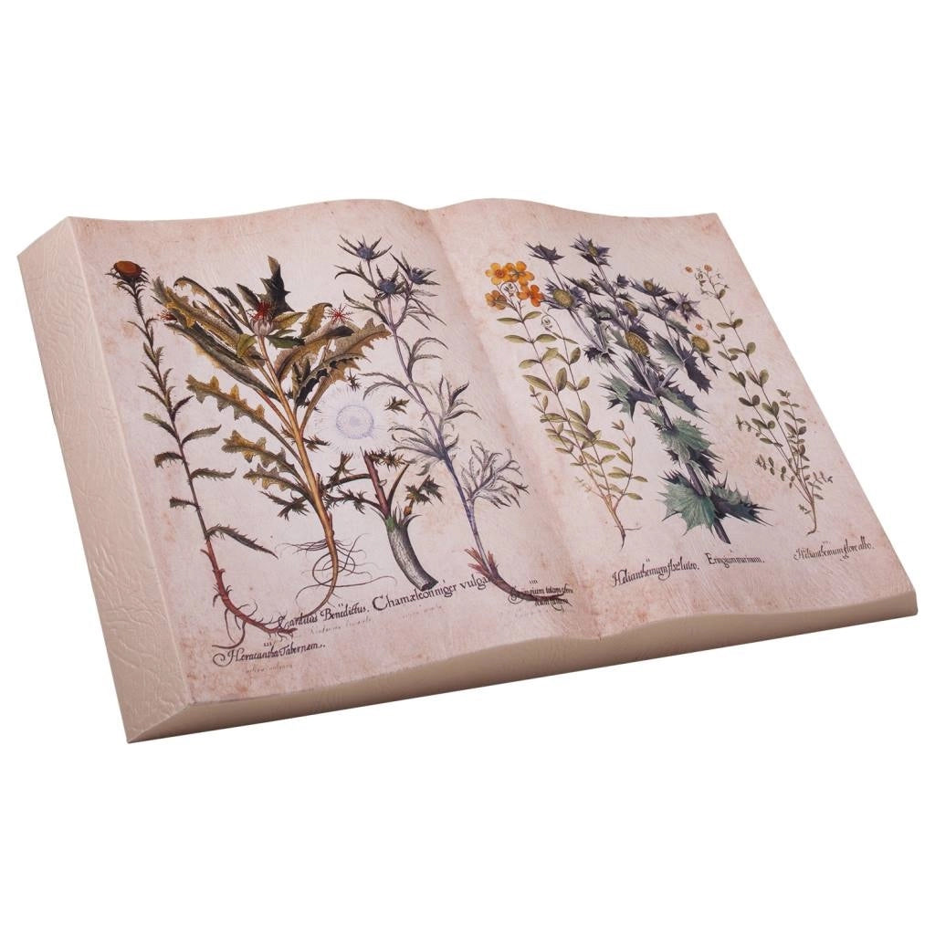 Libro di decorazioni stampato 45x28x4,5h cm
