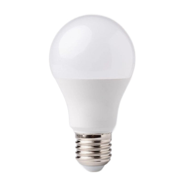 Lampadina LED globo E27 12W 3000K 1080lm Ecolight