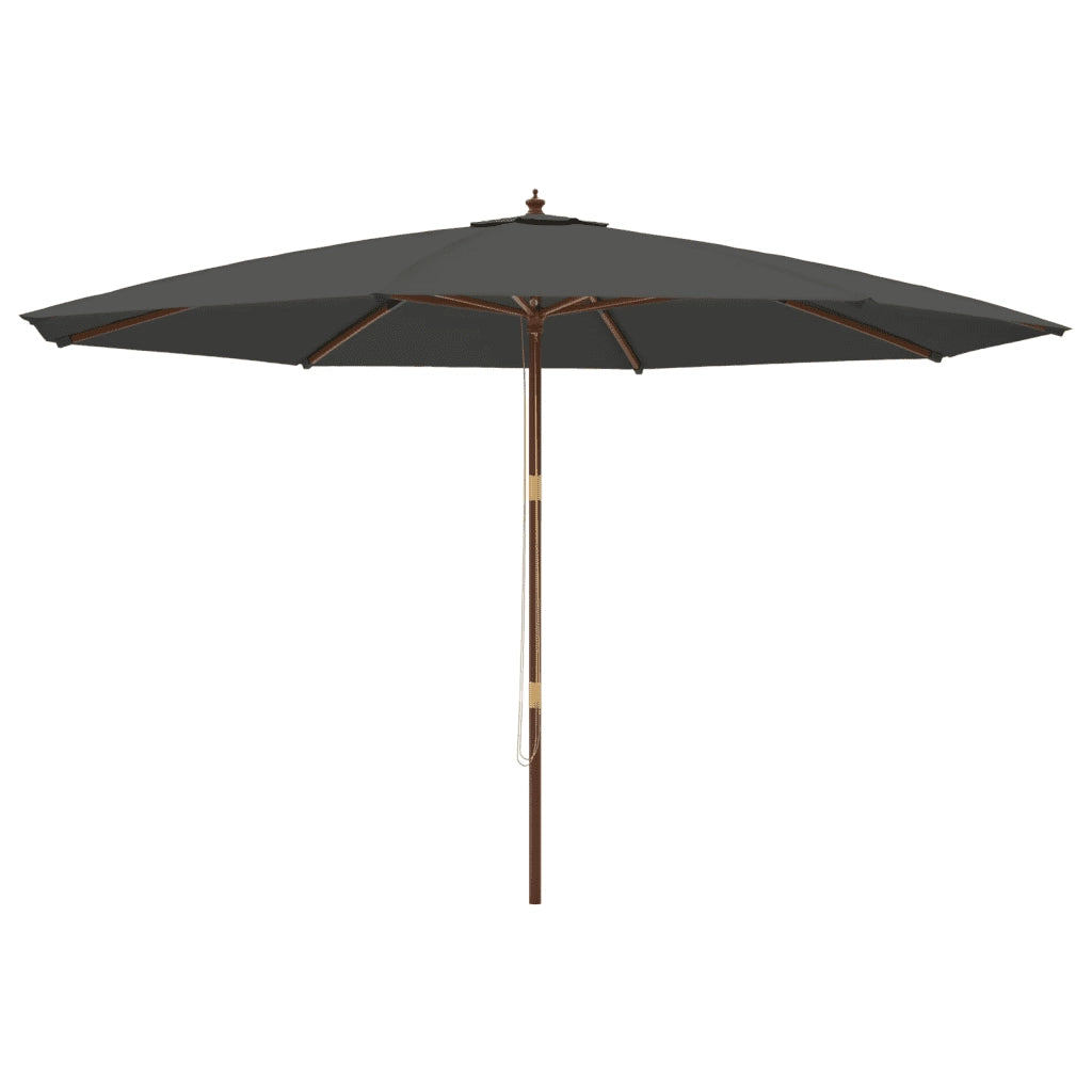 Ombrellone da Giardino con Palo in Legno Antracite 400x273 cm 363177