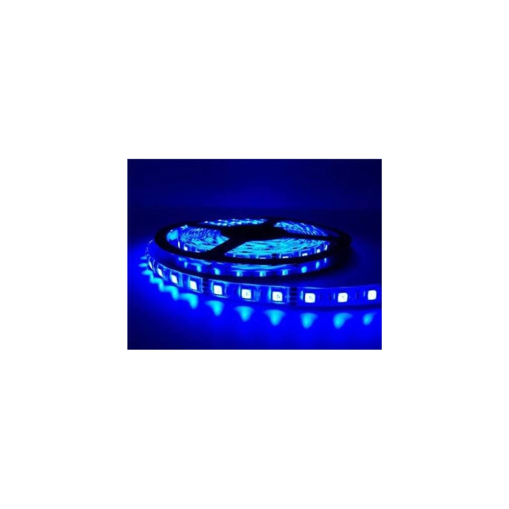 Trade Shop - Bobina Striscia Strip Led 5050 Flessibile 5mt Adesiva Luce Interno Esterno Ip65 - -blu      -