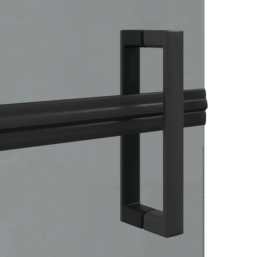 Parete doccia walk-in Nero 120 x 6,5 x 190 cm CFW6283235