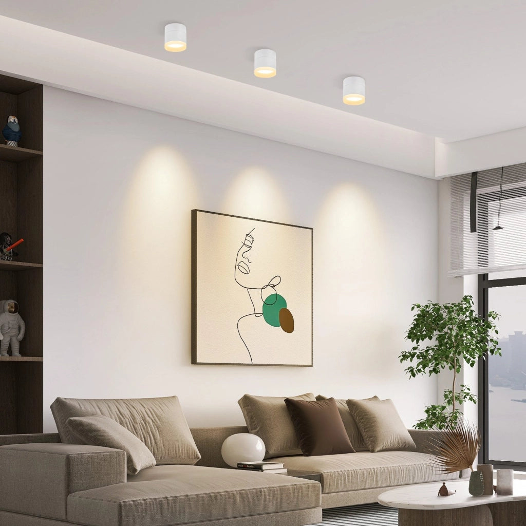 ZMH Faretto da soffitto LED bianchi rotondi da superficie 5W acrilico piccoli