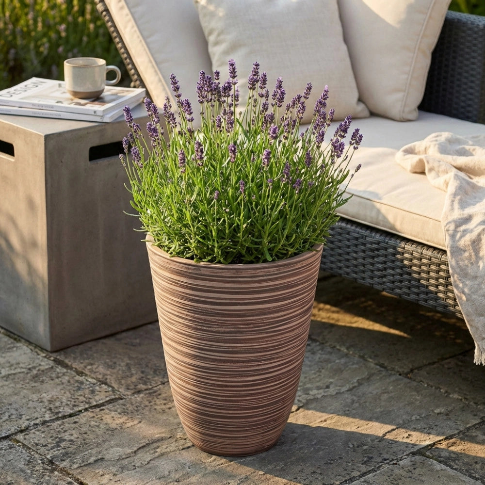 VASO MEDIO ANEMONE