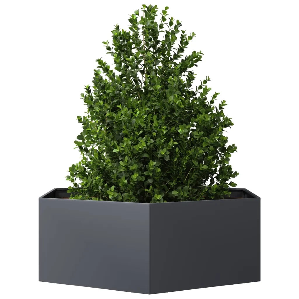 Fioriera da Giardino-Vaso da Esterno Antracite Esagono 138x120x45 cm in Acciaio