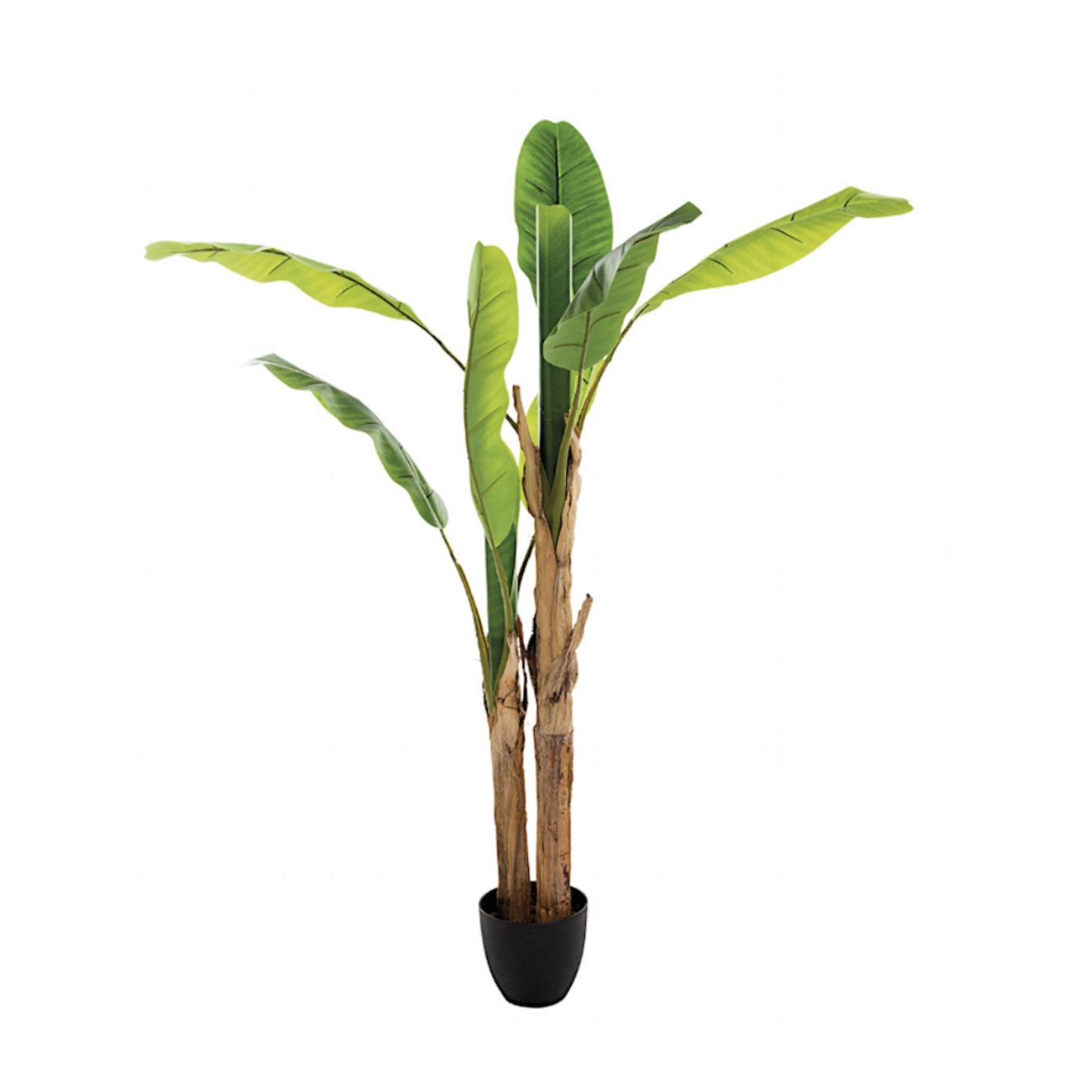 Pianta artificiale Banano doppio con vaso ‚Äì H160 cm