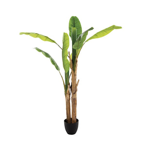 Pianta artificiale Banano doppio con vaso ‚Äì H160 cm