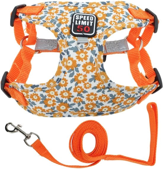 Abbigliamento per Cani Adattabile - Cintura/Kit - Strisce Riflettenti - Sistema di Blocco di Sicurezza - Materiale Polyester/Cotone Comfortevole - Per Cani Piccoli/Mediali - Attrezzo per Cani