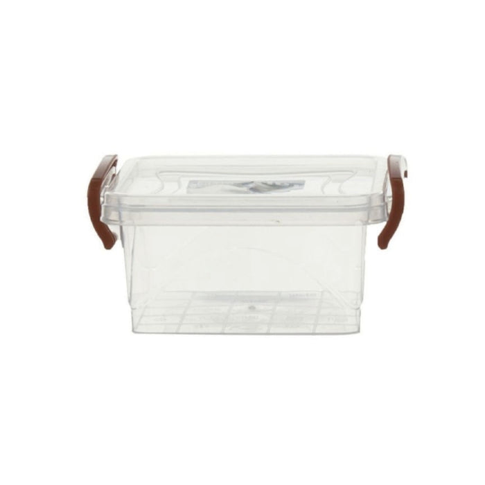 BOX IN PLASTICA CON COPERCHIO