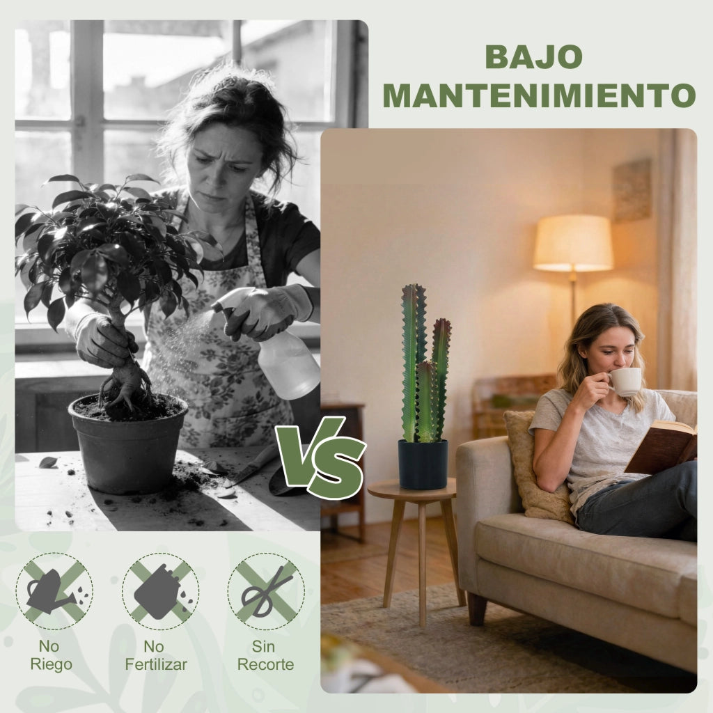 Cactus Artificiale Verde con Vaso 66 cm ¨C zephmum ¨C Decorazione Interni