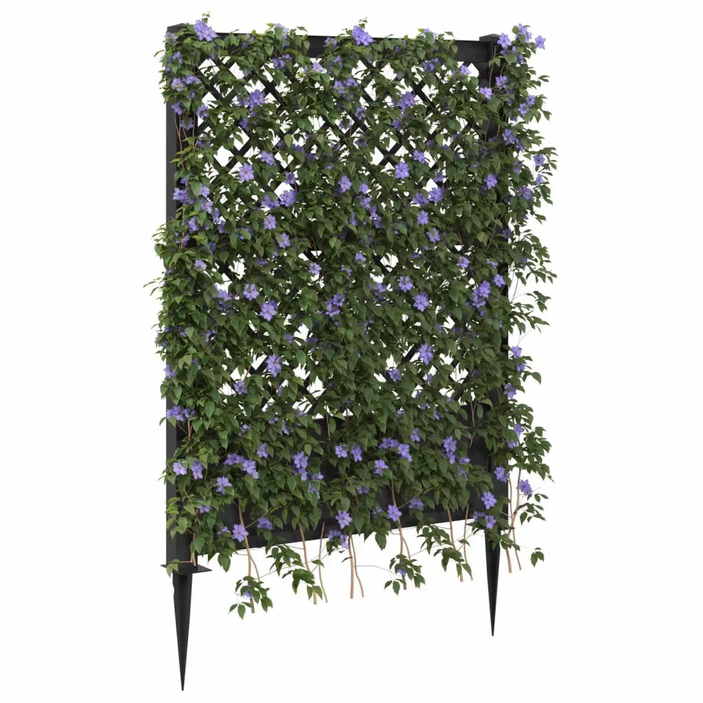 Trellis con Punta Antracite 99 x 6 x 165 cm PP