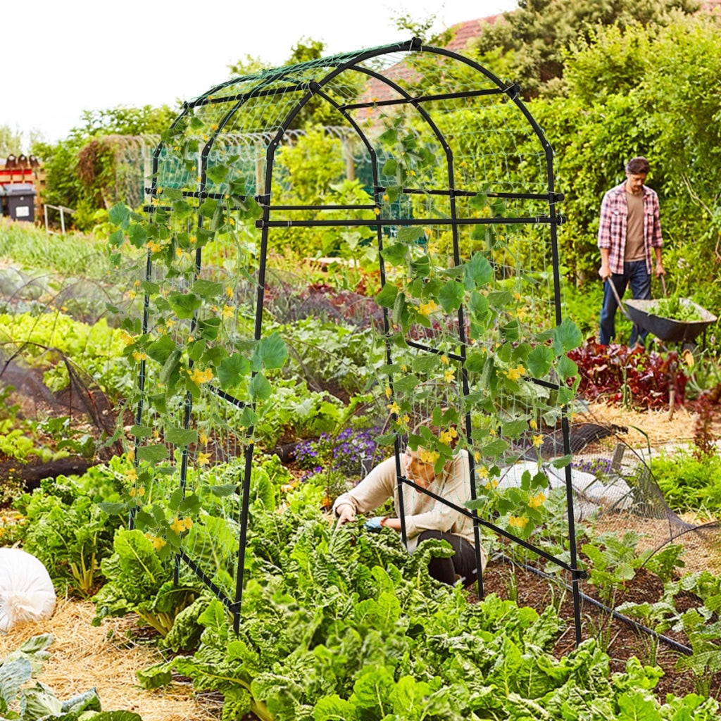 Traliccio ad arco per piante rampicanti con struttura in metallo rivestito in PE, Supporto per verdure alto 230cm-Decorazioni da giardino