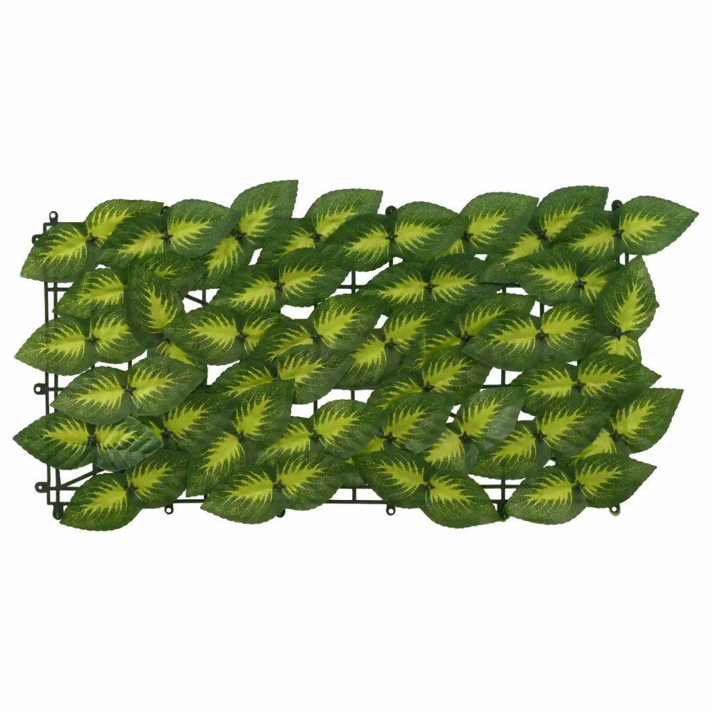 Schermo per balcone con foglie Verde e Giallo 300 x 100 cm 42040673