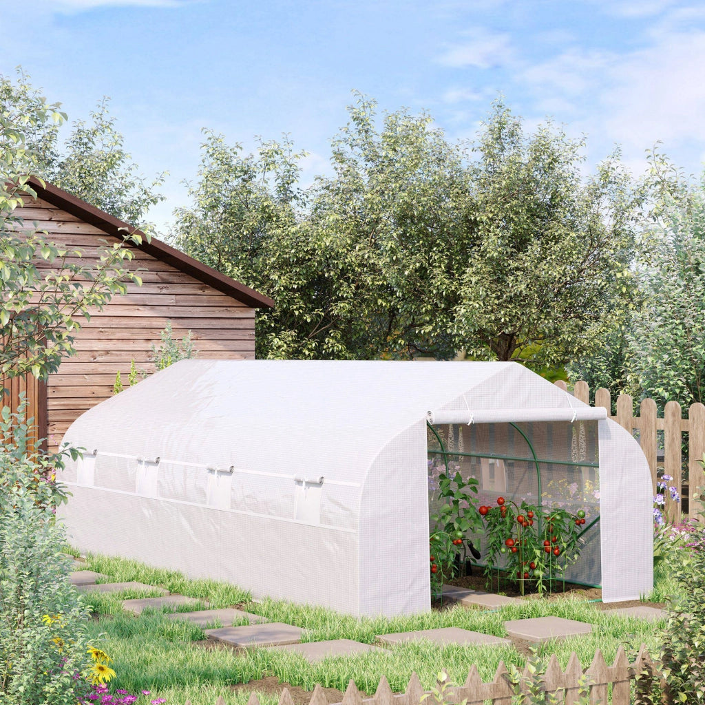 Serra Tunnel da Giardino 18 m2 ¨C zephmum ¨C 5.95x3x2 m Acero Bianco
