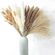 Fiori secchi - Fiori - Decorazione - Salotto - Bouquet - Matrimonio - Beige/bianco - 100 pezzi - Senza vaso - Secchi naturalmente
