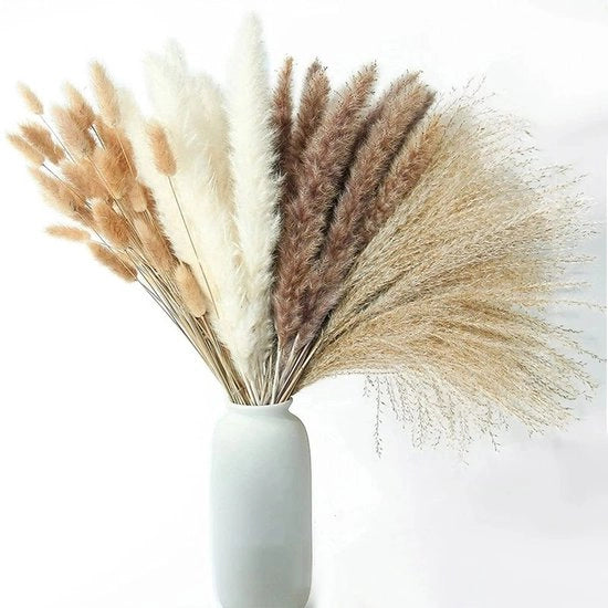 Fiori secchi - Fiori - Decorazione - Salotto - Bouquet - Matrimonio - Beige/bianco - 100 pezzi - Senza vaso - Secchi naturalmente